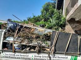 Professional Junk Removal Services in Palm Springs, CA